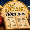 somo24hhomnay