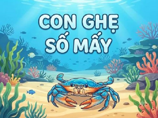 con ghe so may